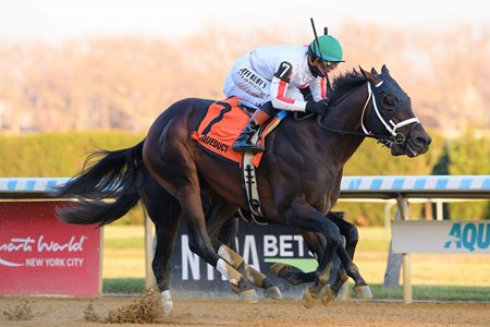 Bishops Bay wins the 2025 Cigar Mile Handicap at Aqueduct Racetrack