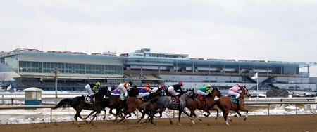 Racing at Aqueduct Racetrack