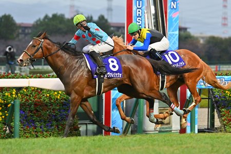 Cavallerizzo wins the 2025 Asahi Hai Futurity Stakes at Hanshin Racecourse
