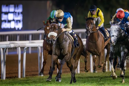 Dark Trooper wins the HH The President Cup at Abu Dhabi Turf Club