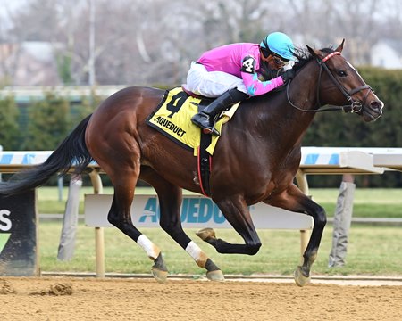 Just Beat the Odds wins the Elite Power Stakes at Aqueduct Racetrack