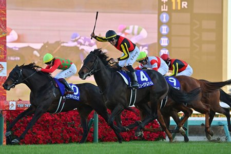 Museum Mile (No. 4) wins the Arima Kinen at Nakayama Racecourse