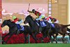 Museum Mile wins the Arima Kinen (G1T) Dec. 28 at Nakayama Racecourse