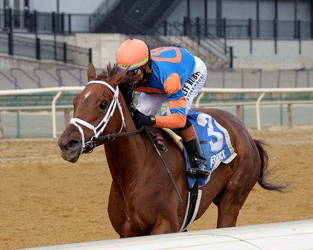 Zany wins the Demoiselle Stakes at Aqueduct Racetrack
