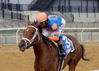 Zany wins the 2025 Demoiselle Stakes at Aqueduct Racetrack