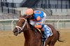 Zany wins the 2025 Demoiselle Stakes at Aqueduct Racetrack