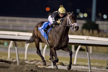 Hammerhead wins the Valedictory Stakes at Woodbine