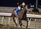 Jockey Daisuke Fukumoto guides Hammerhead to victory In the Valedictory Stakes for owner Gold Square and trainer Kevin Attard at Woodbine