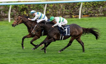 Voyage Bubble (inside) outduels Soul Rush to win the Hong Kong Mile at Sha Tin Racecourse