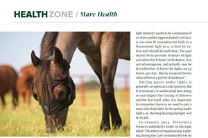 Health Zone: January 2026