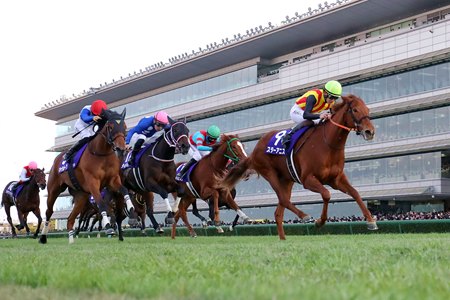 Star Anise wins the 2025 Hanshin Juvenile Fillies at Hanshin Racecourse