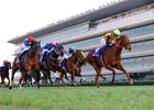 Star Anise wins the 2025 Hanshin Juvenile Fillies at Hanshin Racecourse