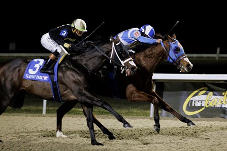 Joe Shiesty (inside) holds off Howard Wolowitz to win the Holiday Cheer Stakes at Turfway Park