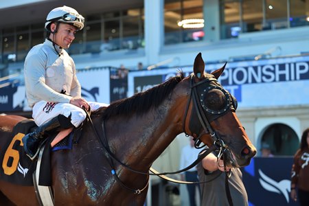 Layabout in the Gulfstream Park winner's circle after winning the Tropical Park Derby