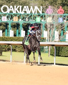 D'code wins on debut at Oaklawn Park
