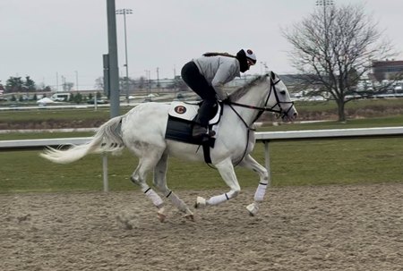 Next trains with exercise rider Amber Hodyka aboard at Turfway Park
