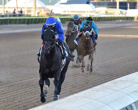 Knightsbridge wins the Mr. Prospector Stakes at Gulfstream Park