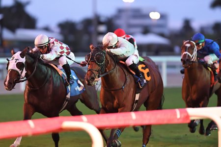 Layabout (inside) wins the Tropical Park Derby at Gulfstream Park