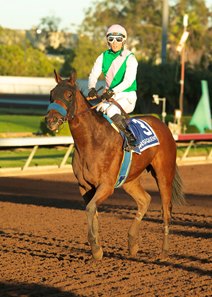 Juddmonte Farms' homebred Consequent wins the Starlet Stakes at Los Alamitos Race Course