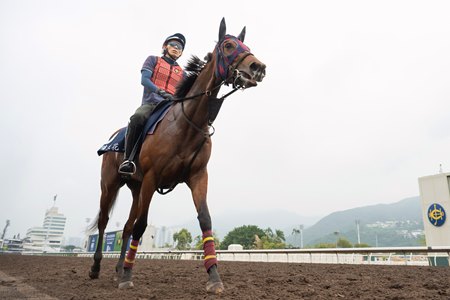 Embroidery on the track at Happy Valley in 20
