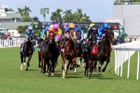 Racing at Gulfstream Park