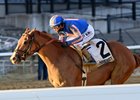 Paladin wins the 2025 Remsen Stakes at Aqueduct Racetrack