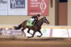 Express Kid (12) wins the $300,000 Springboard Mile on Saturday, Dec. 20, 2025 at Remington Park. Jockey Jose Alvarez was up for the triumph.