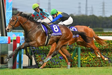 Cavallerizzo wins the Asahi Hai Futurity Stakes at Hanshin Racecourse