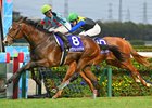 Cavallerizzo (ridden by Christian DeMuro, trained by Tatsuya Yoshioka, and owned by Silk Racing) wins the Asahi Hai Futurity Stakes on Sunday, December 21, 2025 at Hanshin Racecourse. Photo by Katsumi Saito