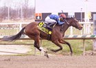Just Philtored wins the 2025 Maryland Juvenile Filly Stakes at Laurel Park