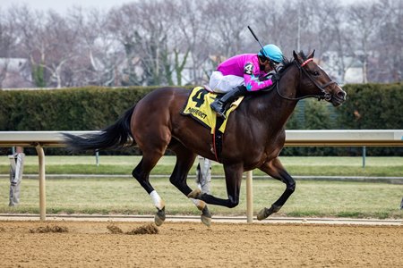 Just Beat the Odds wins the 2025 Elite Power Stakes at Aqueduct Racetrack