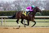 Just Beat the Odds wins the 2025 Elite Power Stakes at Aqueduct Racetrack
