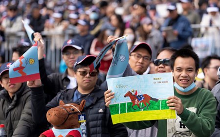 A marketing expert calls for special areas at the track on big race days for fans of specific horses to gather