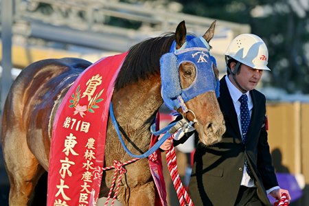 Diktaean after winning the 2025 Tokyo Daishoten