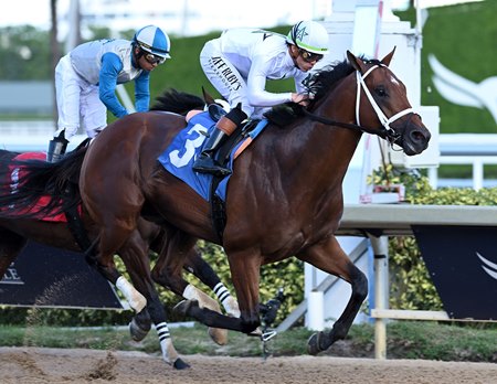 Tappan Street wins a 2025 allowance optional claimer at Gulfstream Park 