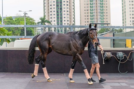 Al Riffa arrives in Hong Kong