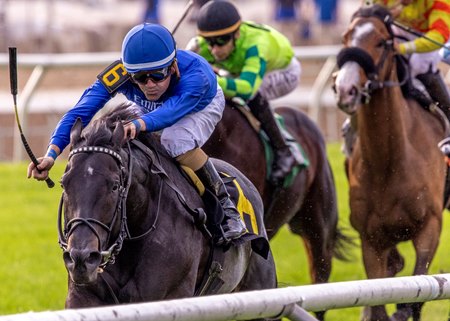 Montador rolls to victory in the Woodchopper Stakes at Fair Grounds Race Course