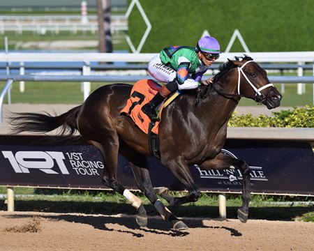 Waymark wins a maiden special weight race at Gulfstream Park