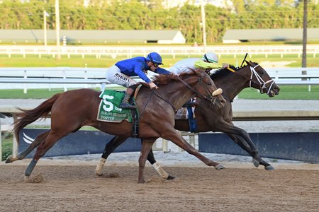 Skippylongstocking defeats Poster in the Harlan's Holiday Stakes at Gulfstream Park