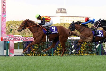 Star Anise wins the Hanshin Juvenile Fillies at Hanshin Racecourse