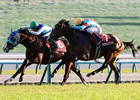 Admire Quads (inside) wins the Daily Hai Nisai Stakes at Kyoto Racecourse