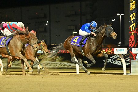 Pyromancer (inside) wins the Zen-Nippon Nisai Yushun at Kawasaki Racecourse