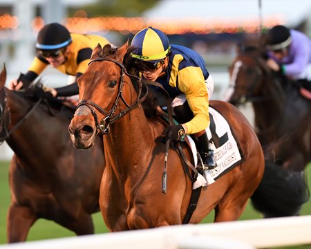 Wolfie's Dynaghost wins the Fort Lauderdale Stakes at Gulfstream Park