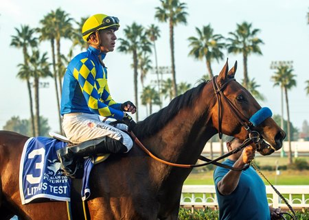 Los Alamitos Futurity winner Litmus Test