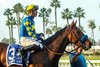Heavily-favored Litmus Test and jockey Juan Hernandez win the Grade II $200,000 Los Alamitos Futurity Saturday, December 13, 2025 at Los Alamitos Race Course, Cypress, CA, giving trainer Bob Baffert his ninth win in the race.  Baffert’s two other starters in the race, Blacksmith and Provenance, finished second and third, respectively, giving the barn a trifecta. 
Benoit Photo