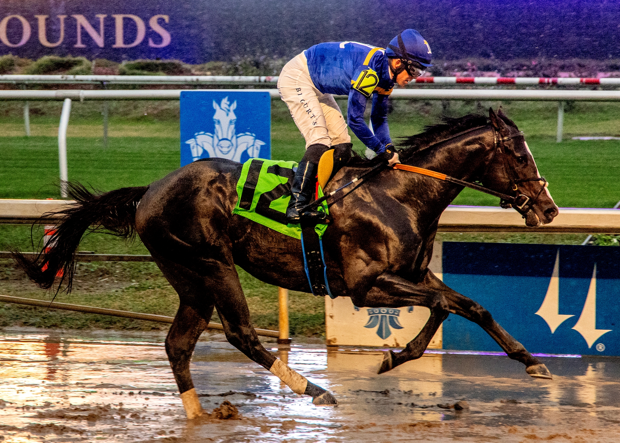 Maiden Watch: Carson Street, Greenwich Village Shine - BloodHorse