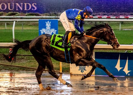 Carson Street splashes his way to victory in an off-the-turf maiden race on a sloppy track at Fair Grounds