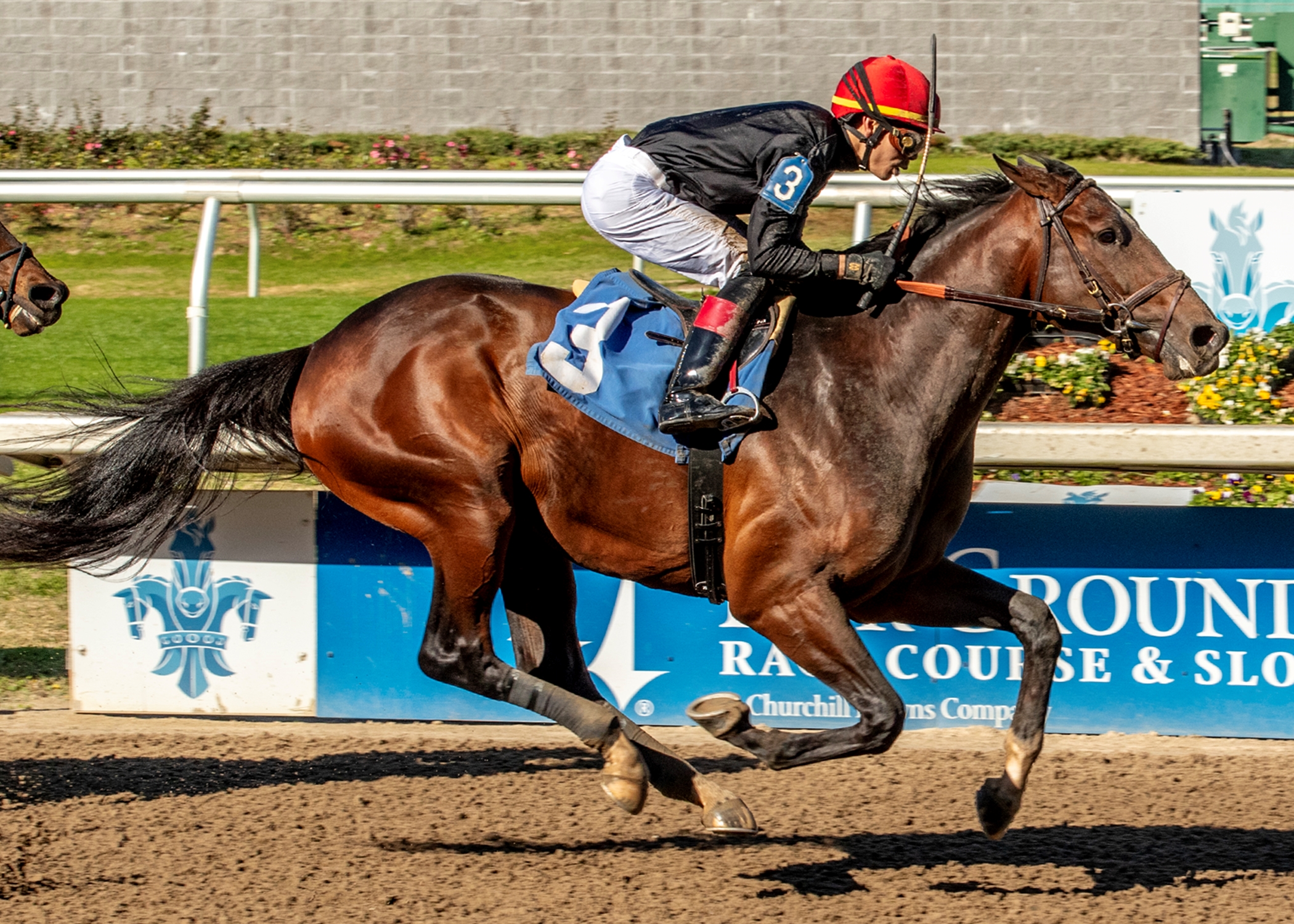 Gentildonna Wins Dramatic Sheema Classic - BloodHorse