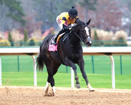 Counting Stars wins the Year's End Stakes at Oaklawn Park