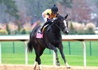 Counting Stars wins the Year's End Stakes at Oaklawn 12/27/25